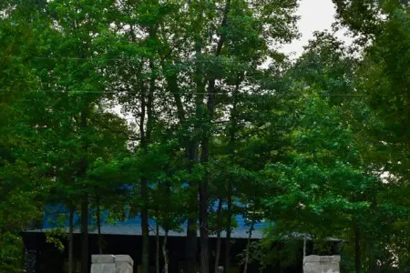 1a81b9b3 9f8e 4e7c 8fef 5b41f6ffcc01.png.jpg