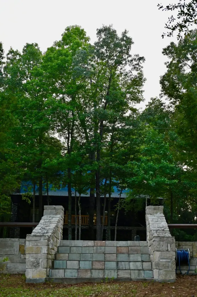 1a81b9b3 9f8e 4e7c 8fef 5b41f6ffcc01.png.jpg