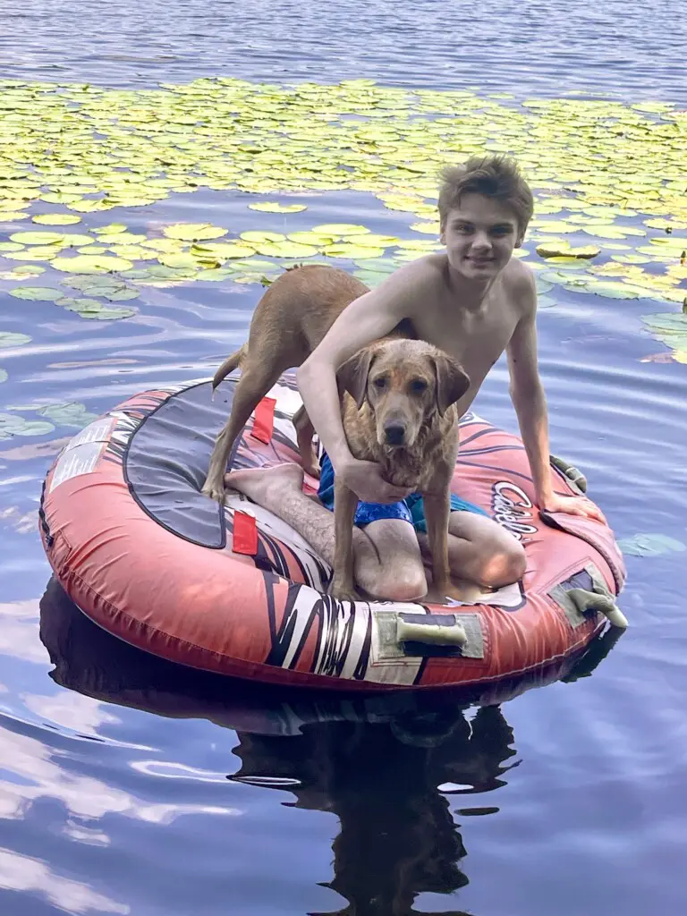 6000de15 e26d 44e7 8418 d343da9060ba.png.jpg