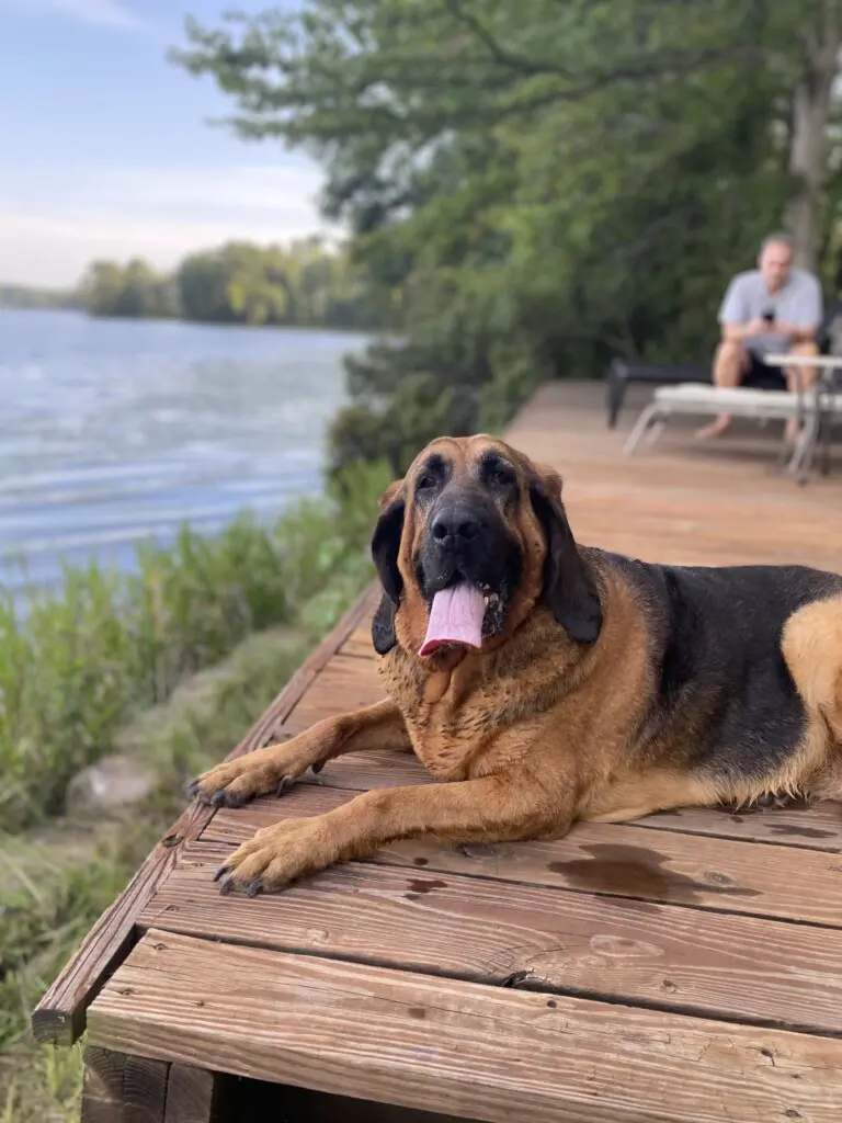 65d9251b 2295 418c b119 38f1cf5bae8b.png.jpg