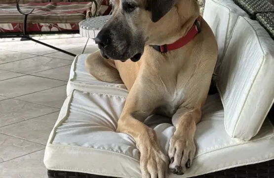 bf9cc078 d43d 4175 8591 ec7c29250abb.png.jpg