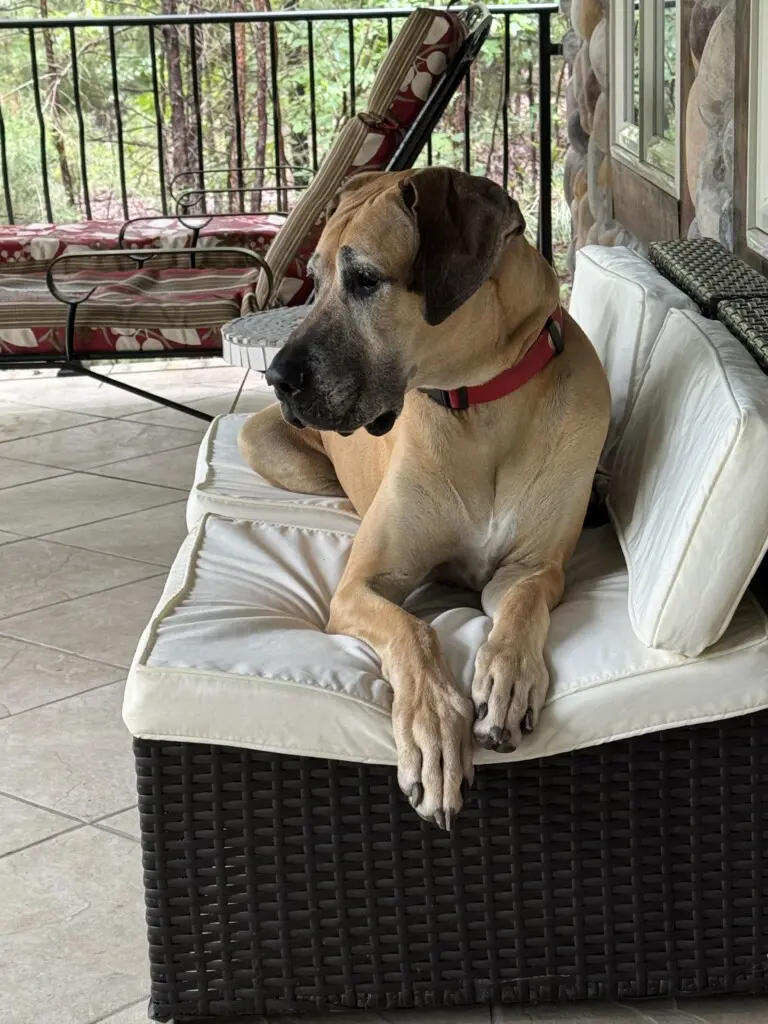 bf9cc078 d43d 4175 8591 ec7c29250abb.png.jpg